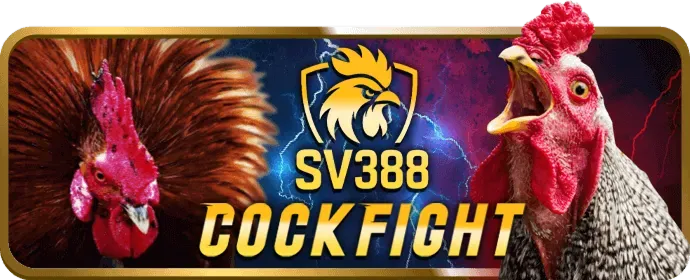 Mẹo chơi blackjack tr88